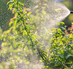 2-AS Industrial Acid Sprayer - 2 Gallon - Versa Solutions, LLC